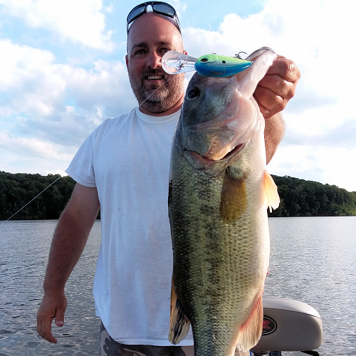 Kentucky Lake Fishing