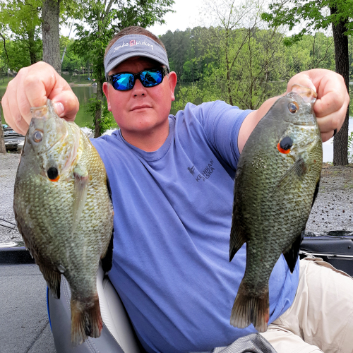 Kentucky Lake Fishing