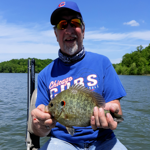 Kentucky Lake Fishing