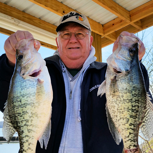 Kentucky Lake Fishing